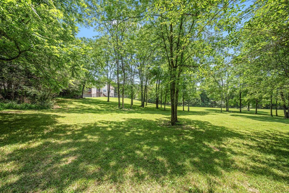"The grove" in your backyard... complete with a hammock.