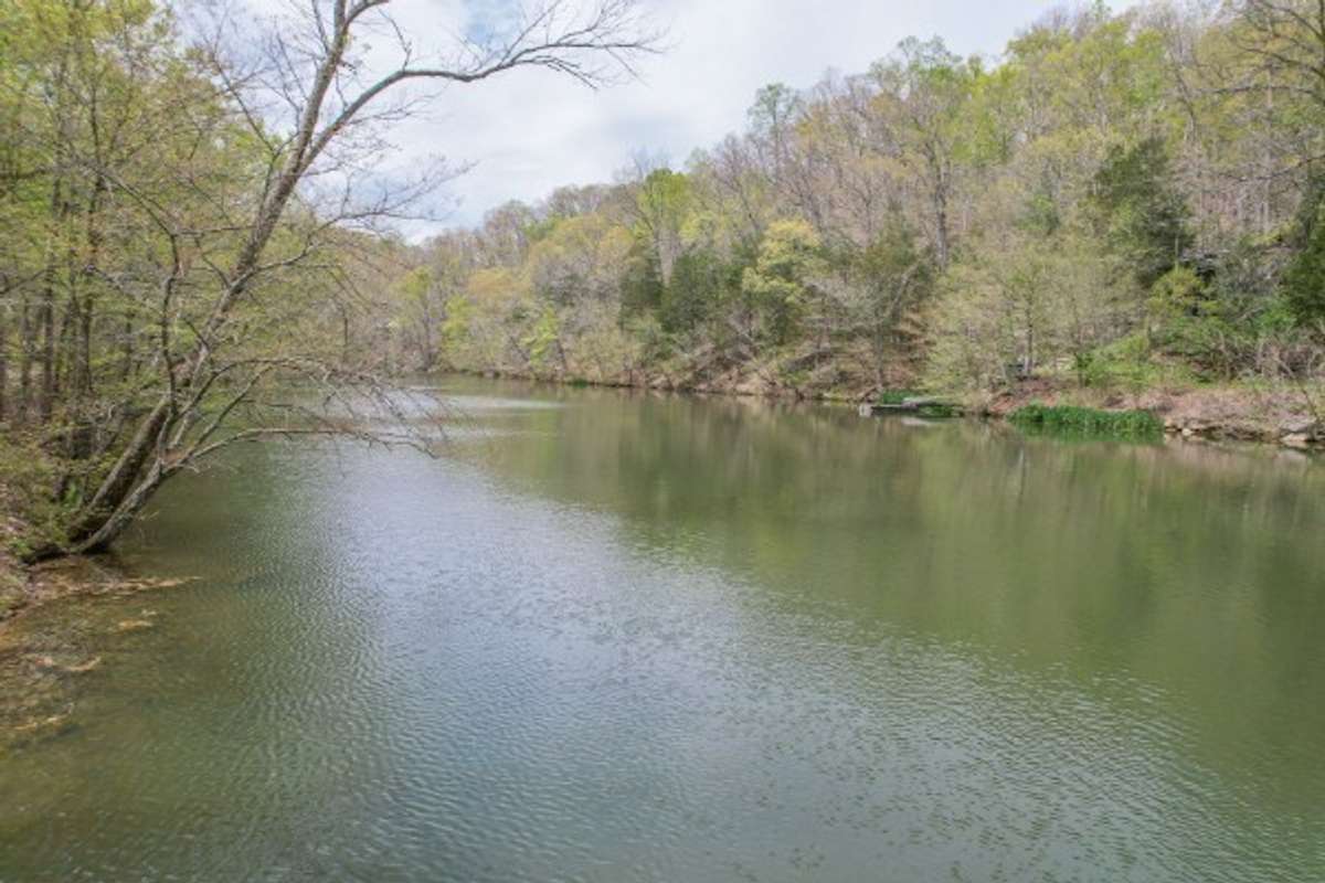 This beautiful property is settled amid towering trees with views that sweep across a pristine stocked lake...the shimmering heart of the property.