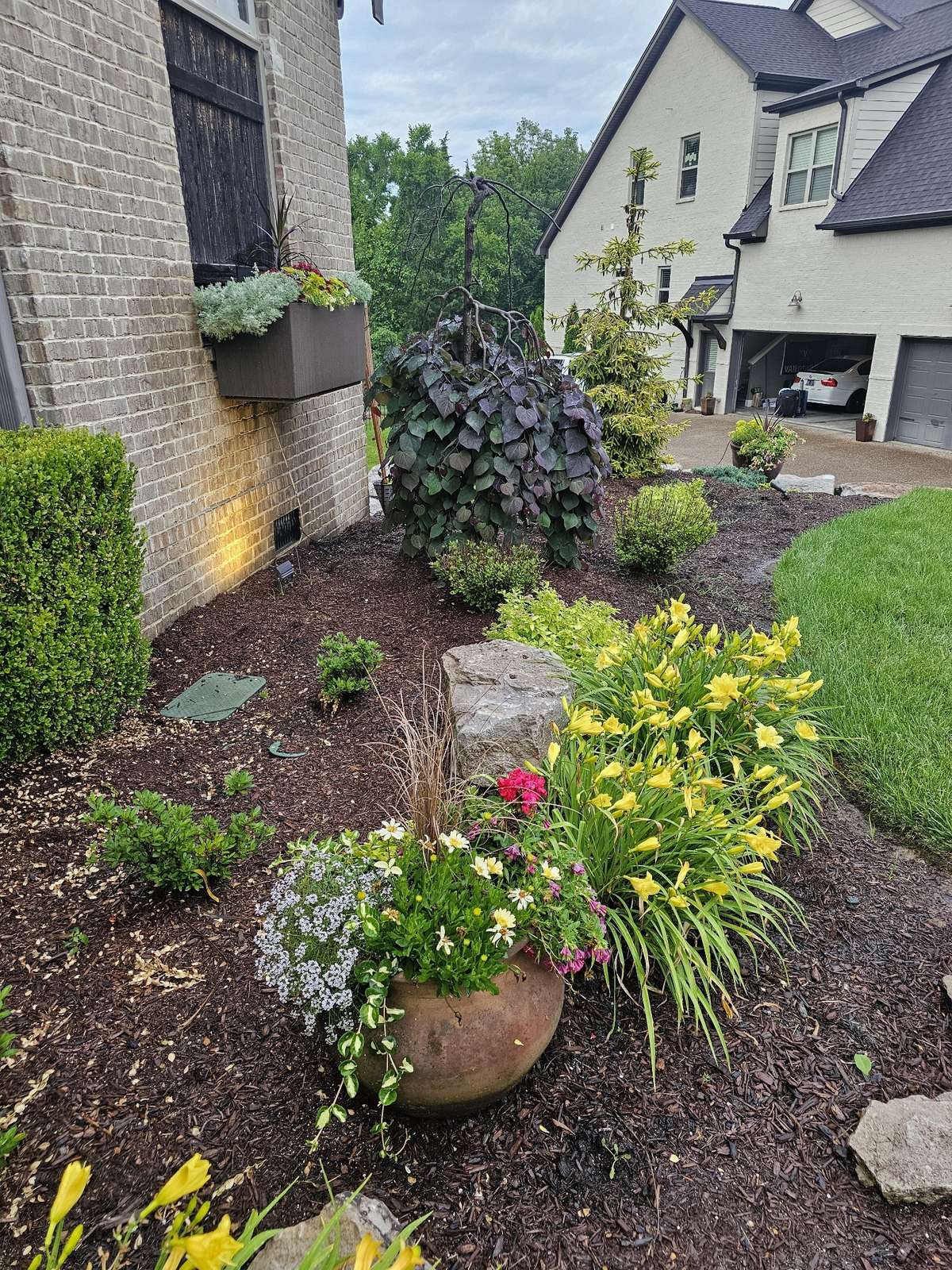 Photo supplied by the seller