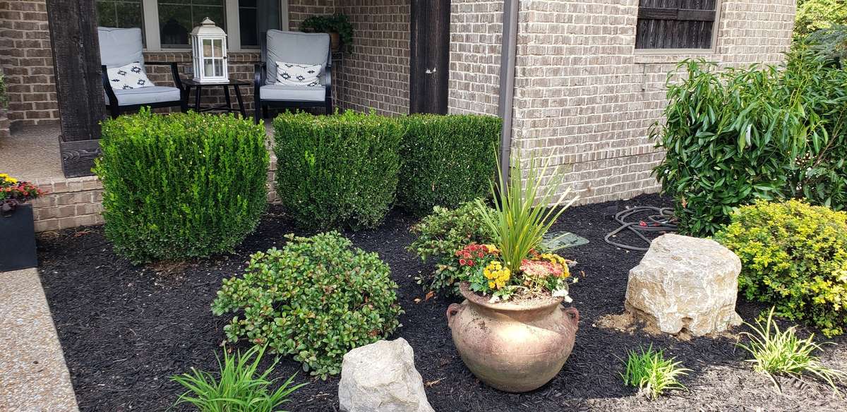 Photo supplied by the seller