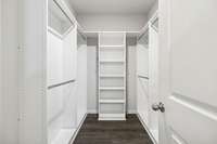 Your primary bedroom also features a custom California closet - perfect for not only housing - but organizing your belongings. 549 Montrose Dr. Mt. Juliet, TN 37122