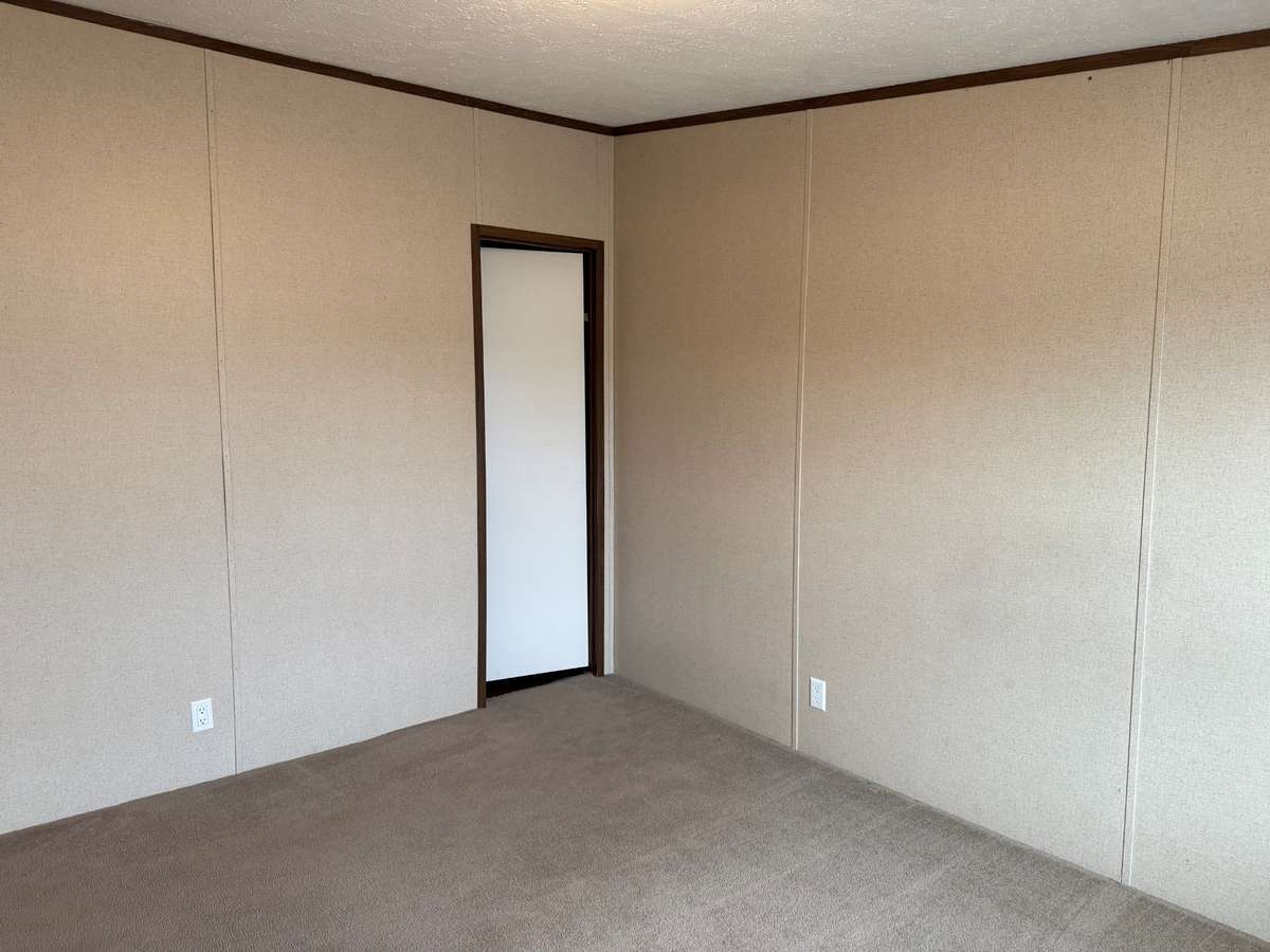 Bedroom- carpet