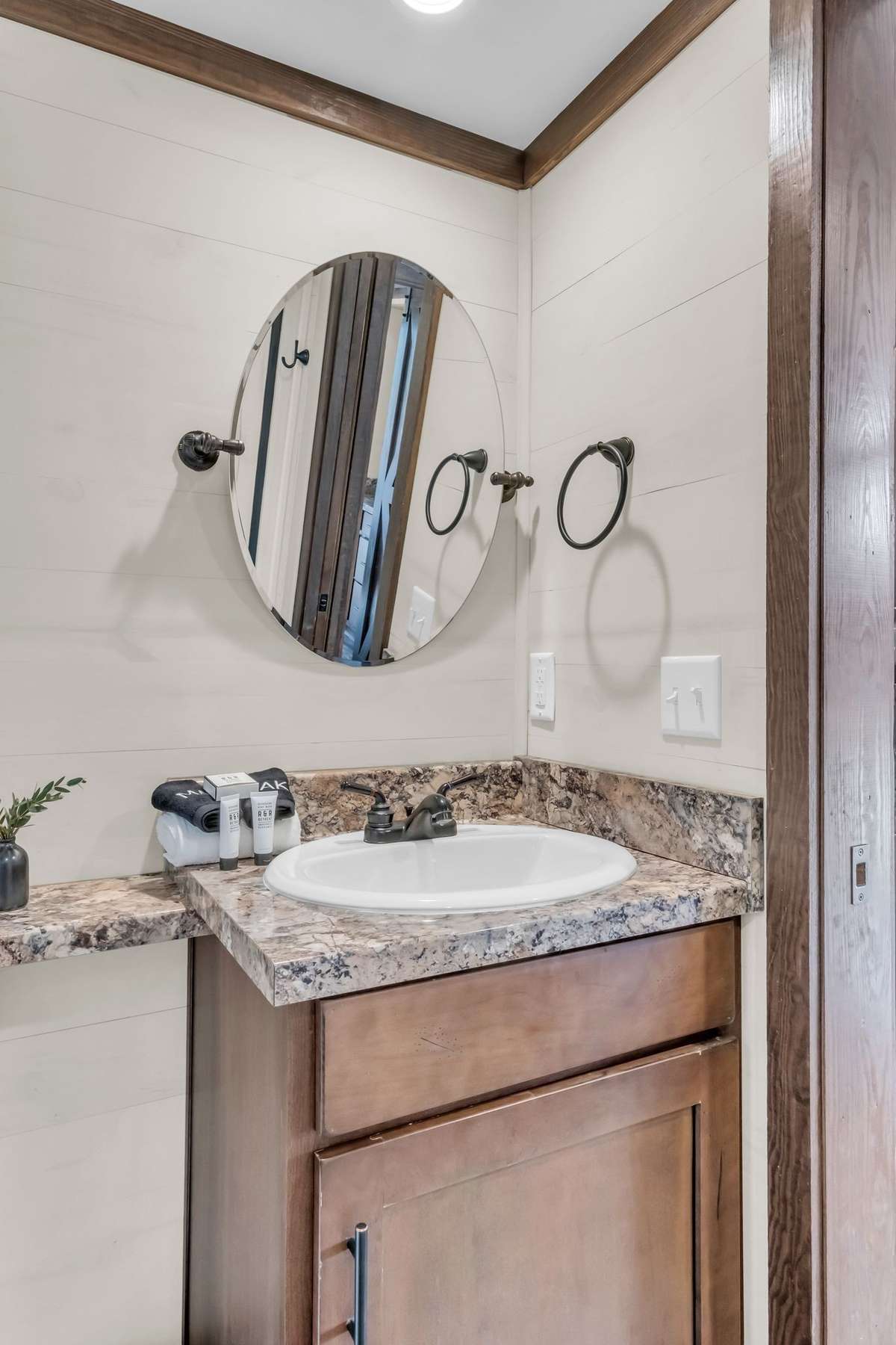 Shiplap wall behind the vanity