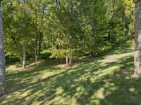 Nature Lovers, this yard is for you!  A small creek runs along the border of the property and deer make daily visits, plenty of trees and birds!