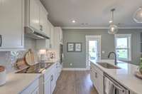 This is a Model Home picture of the Winston.