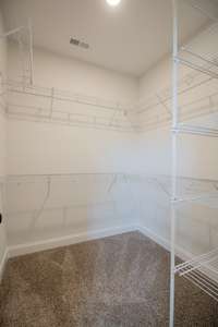 One of the Two Walk-in Closets!