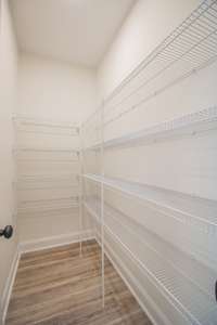 Huge Walk-in Pantry! Lots of Shelving!