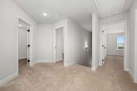 Pics are of previously completed home of same floorplan. Features and finishes may vary.