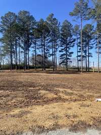 BUILDING SITE TO RIGHT OF PROPERTY