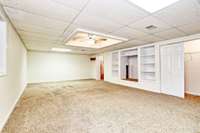 TV Room/Den in Basement