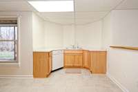Basement Kitchen