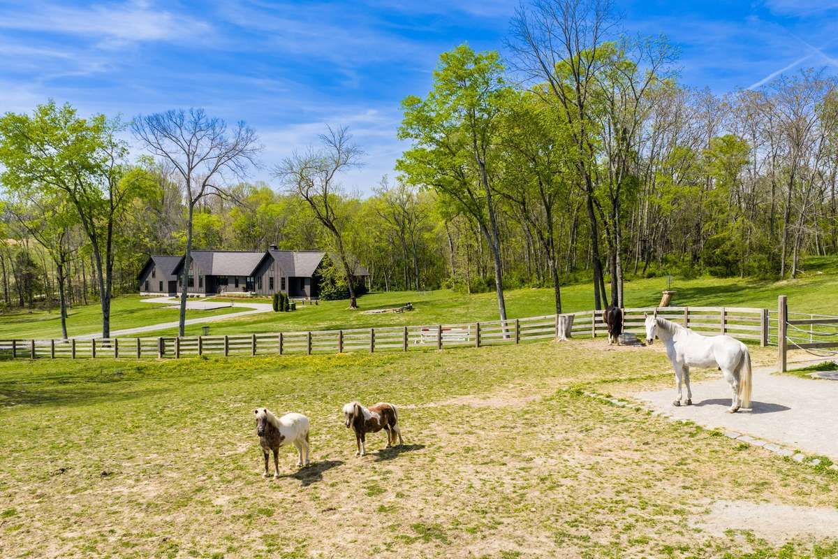 Bring your family friends and horses! Nearly 12 acres of peaceful pasture right in the
heart of Franklin. Join a welcoming neighborhood of fellow horse owners where your horses will be greeted with friendly neighs every time you return home!