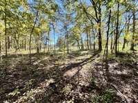 6-acre property cleared, level, wooded, & ready to Build Your Dream Home! Located in Spring Hill, TN!