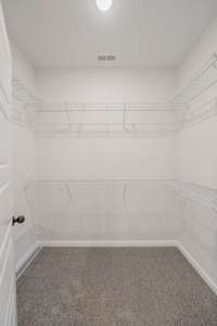 One of the Two Walk-in Closets, Lots of Shelving & a Shoe Rack!
