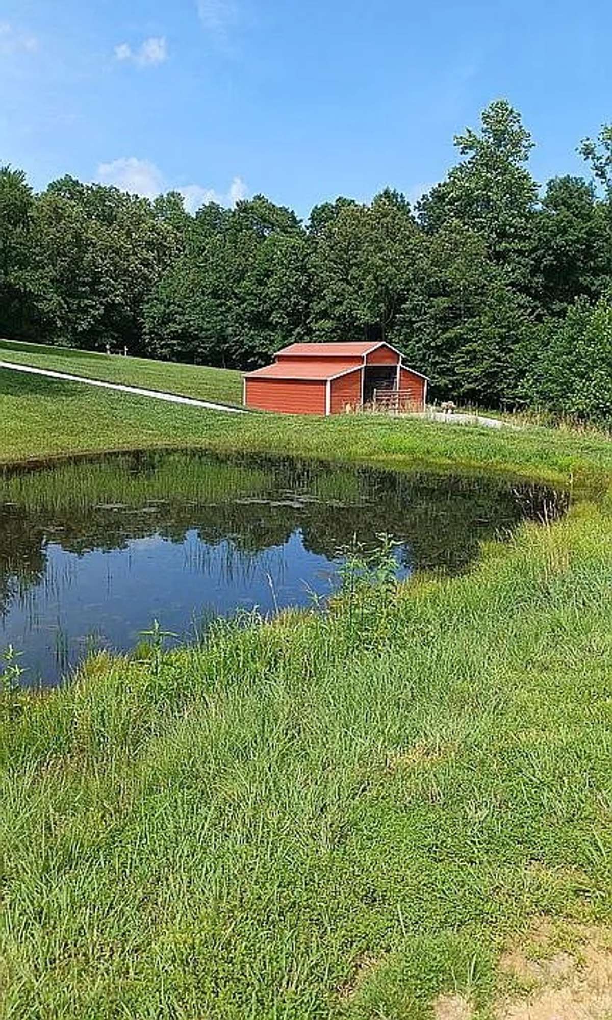 Pond and barn.
