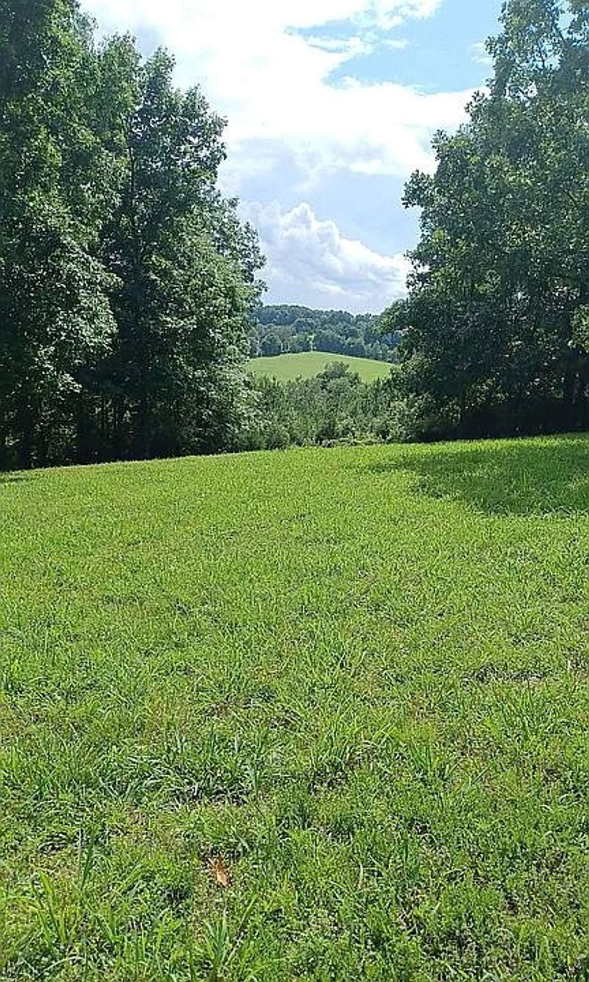View from the property.
