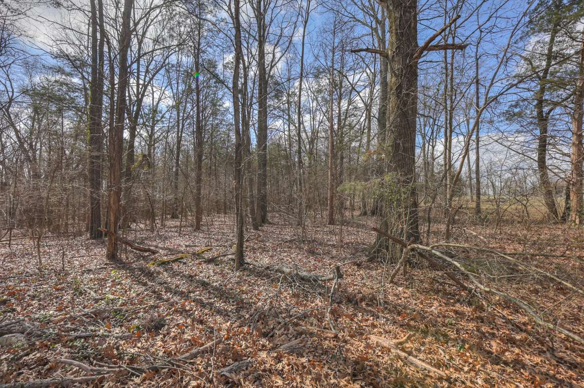 Lots of potential for this area or leave it as is