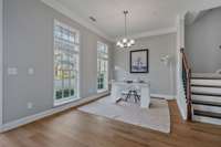 Open w/ lots of light coming thru!