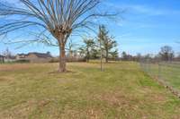 This photo shows the backyard space.