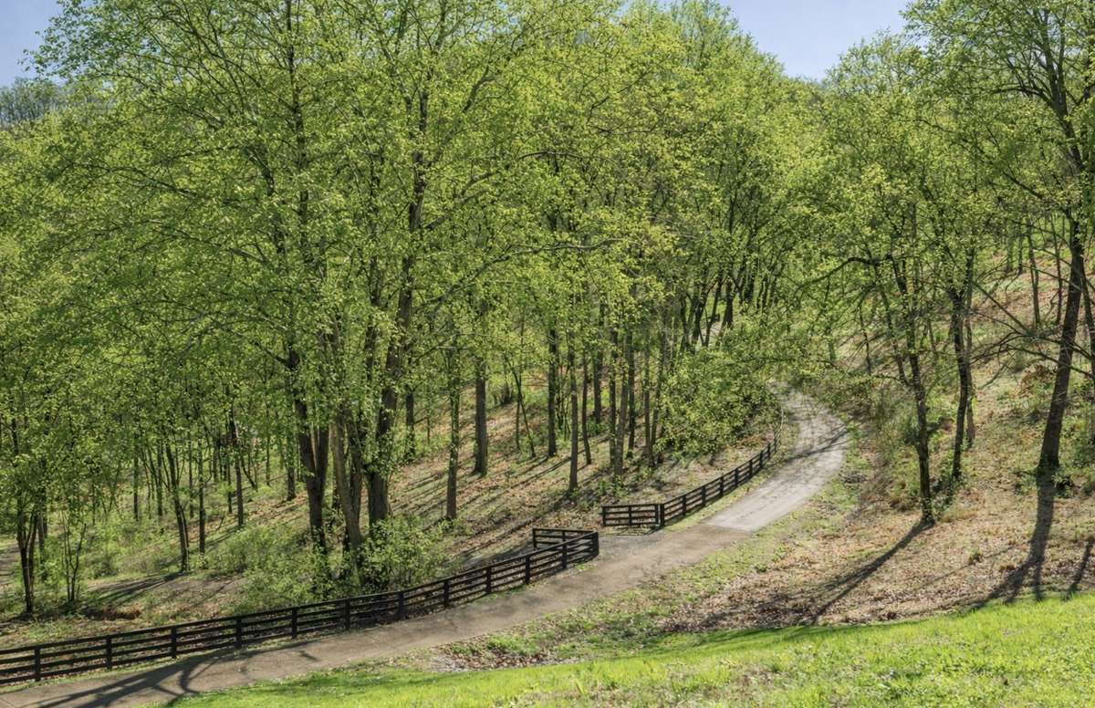 The expansive wooded acreage offers privacy and natural surroundings