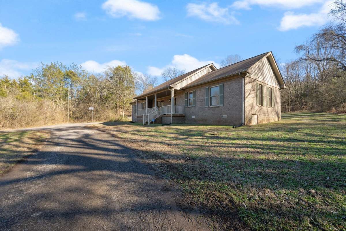 view from driveway on over 7 acres half cleared half wooded