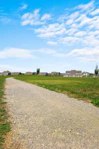 The Trails are a Great Way to Get Out & Meet your Neighbors & their Kids & their Dogs...Woof Woof!