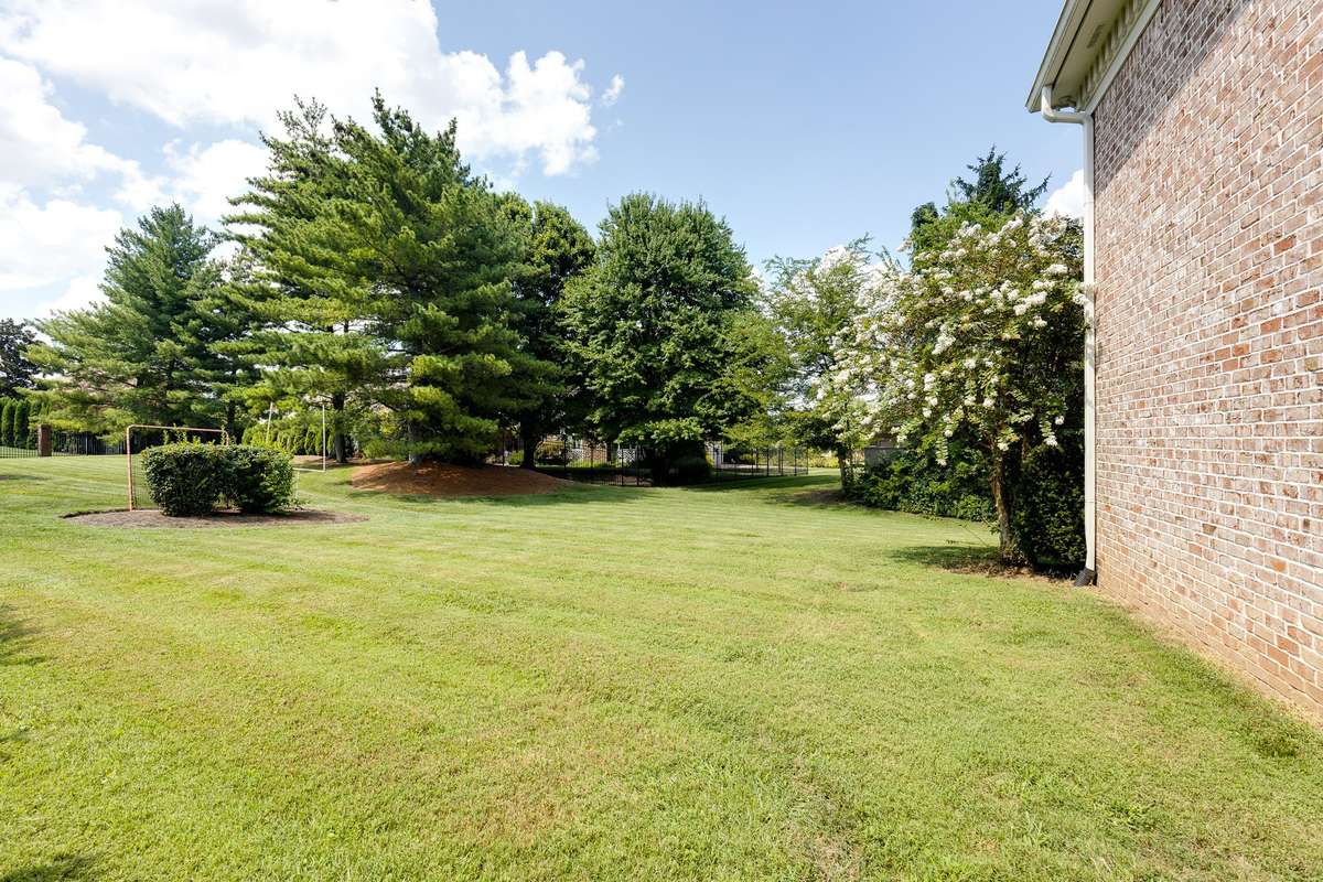 leveled backyard for future swimming pool
