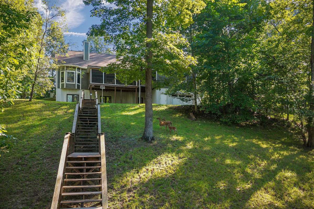 A rear view of the home showing the steps leading to the river.  Notice the deer standing in the backyard.