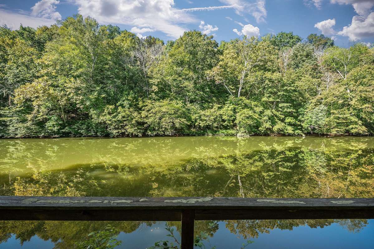 You need this spectacular view and home on the Rocky River. The property has 127 feet of river frontage.