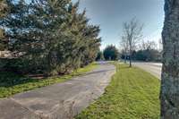 Get your morning walk in!