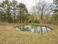 Year round pond on property.