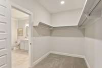 Sizebale Walk-in Closet