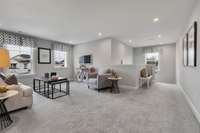 Stock Model Photo. Spacious Bonus Room.