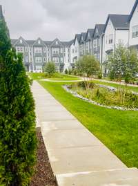 Stunning park settings in the community courtyards. Tons of green space for you to enjoy!