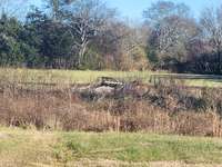 House sits on a Large 2 Acre Lot that goes back to far Tree Line behind the house.