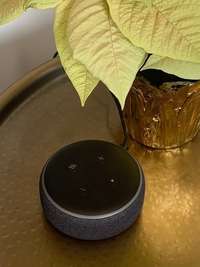 Our smart home package comes with every home and includes an Alexa Dot.