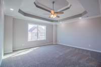 EXAMPLE>>>Primary Bedroom Features a Double Tray Ceiling, Crown Molding and Recessed Lighting!!