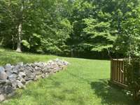 Backyard in the Spring.