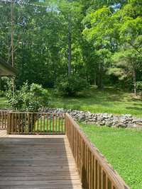 Backyard in the Spring.