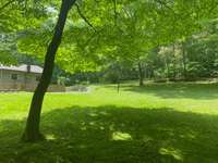 Backyard in the Spring.