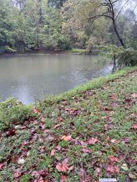 View of the beautiful pond towards the front of the property!