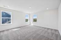 ***Photo from previously built home - options and colors may vary***

Measuring 15' x 15', the Loft is the perfect space for a home theater, game room or secondary entertaining space.