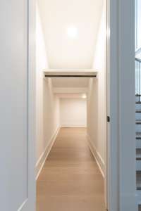 it's a Harry Potter closet! Purrrrfect for pets!