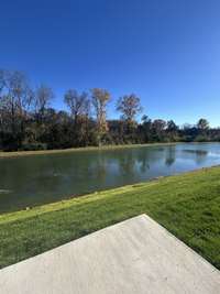 RELAX on your private patio and enjoy the trees calm waters