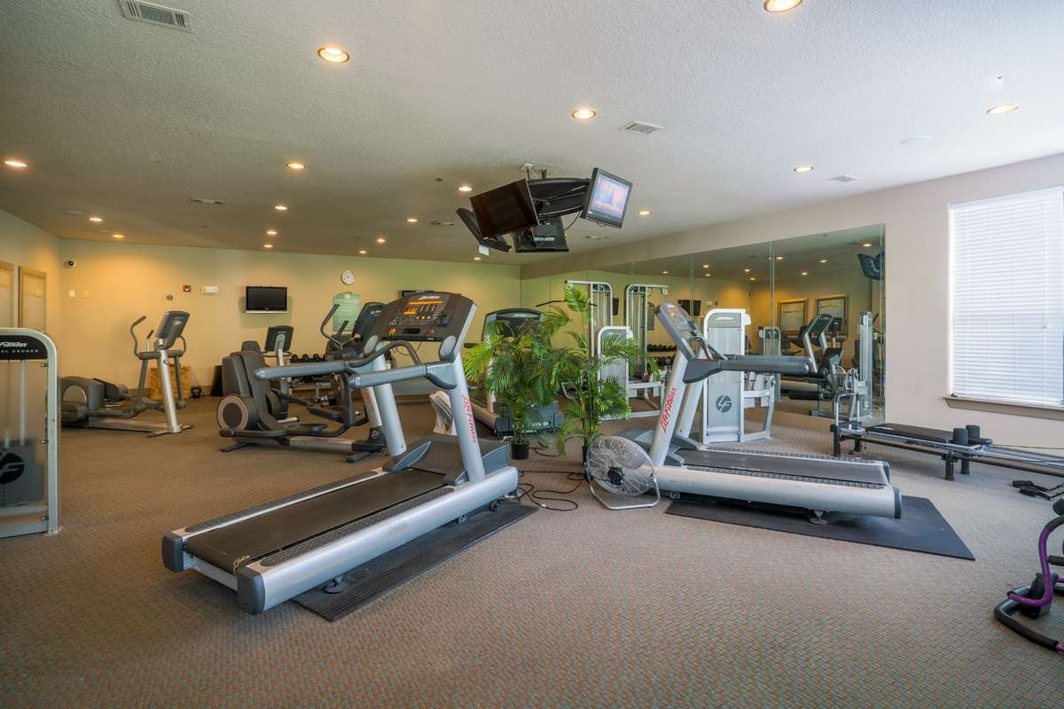 Get a workout in at The Enclave Gym!