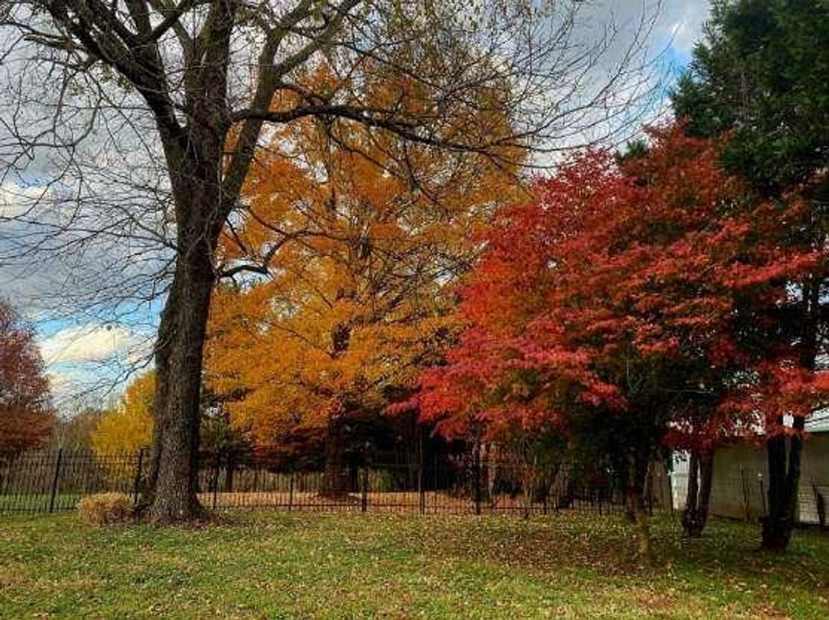 Picture of the colors in the Fall