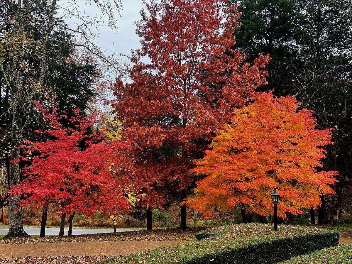 Front yard showing out for Fall