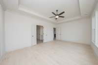 tray ceiling feature and double doors to bath suite