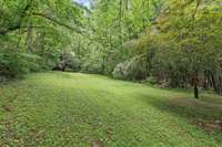 Beautiful yard with tons of space to play, run and walk