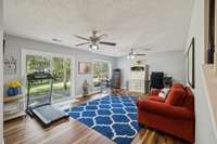 Downstairs (walk out basement) family room